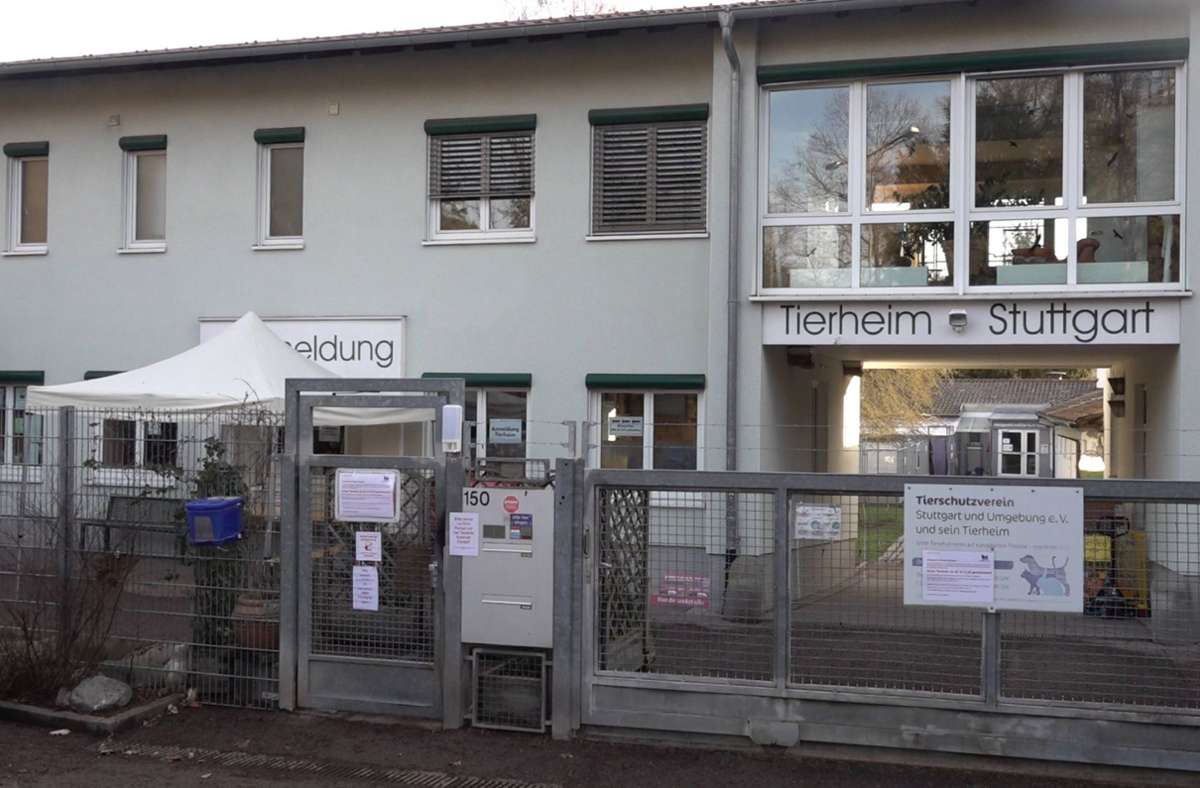 Das Tierheim Stuttgart muss mehr als 100 Tiere zusätzlich versorgen. Sie stammen allesamt aus einer Wohnung. Foto: 7aktuell/Andreas Werner