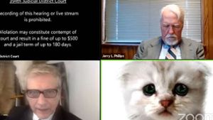 Anwalt hat bei Online-Anhörung mit  Katzenfilter zu kämpfen