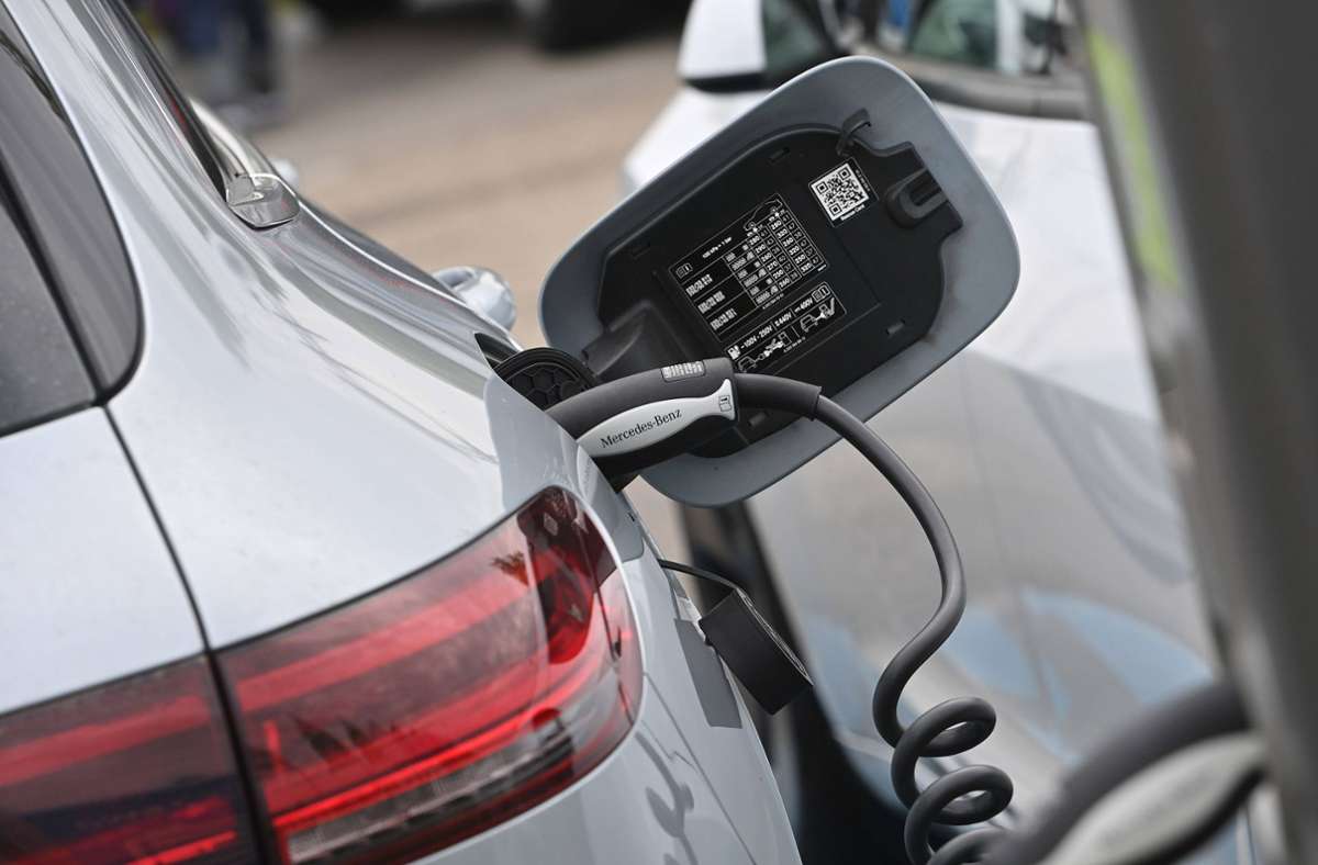 Elektroautos: Umweltverbände warnen vor höheren Kaufprämien