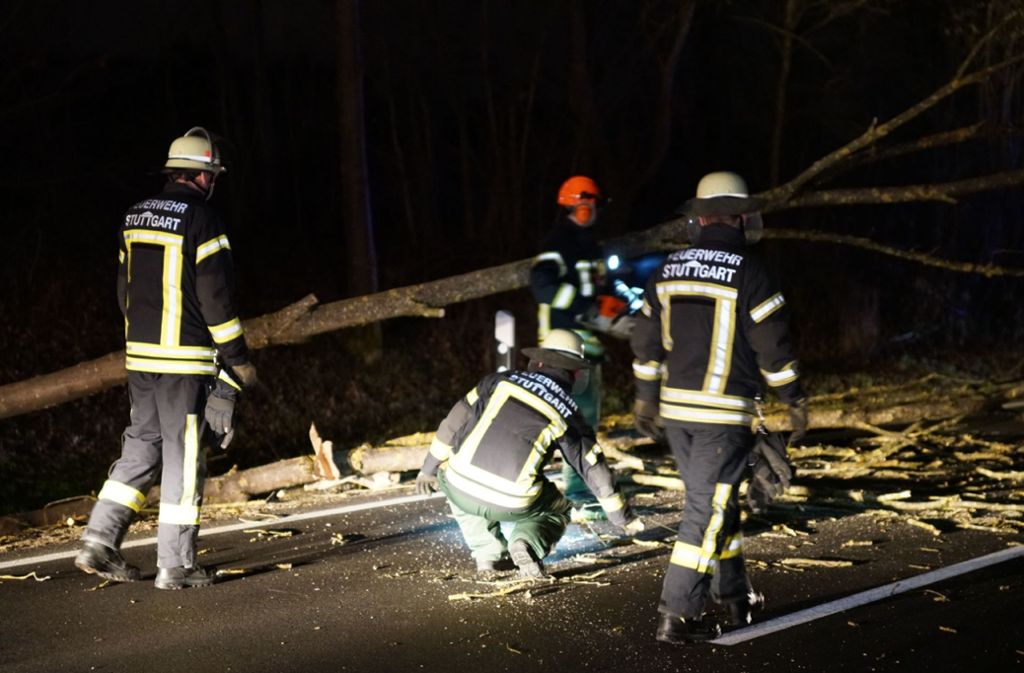 Orkan „Sabine“ erreicht den Südwesten. Die Stuttgarter Feuerwehr räumt einen umgestürzten Baum in Stuttgart beiseite.