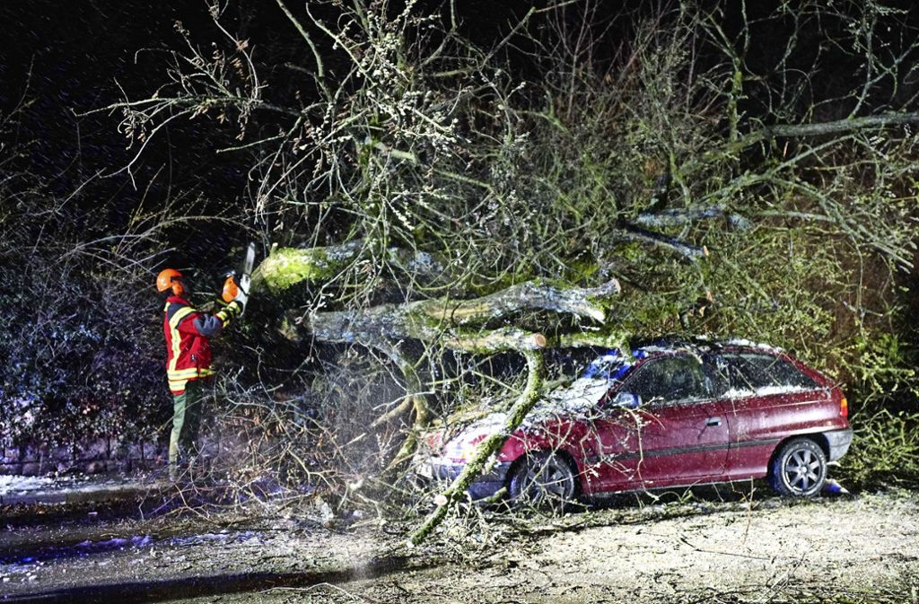 Aichwald: Baum stürzt auf parkende Autos