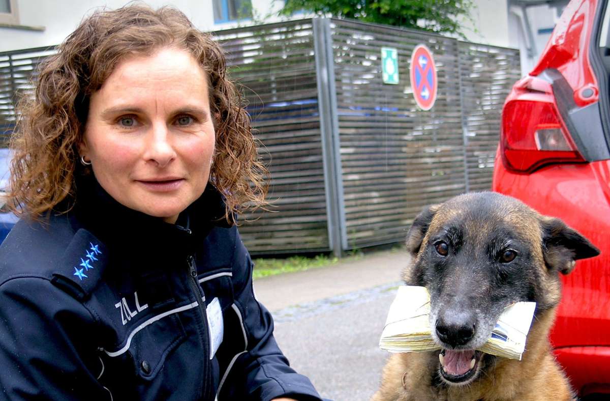 Polizei: Immer weniger Zeit für Diensthunde