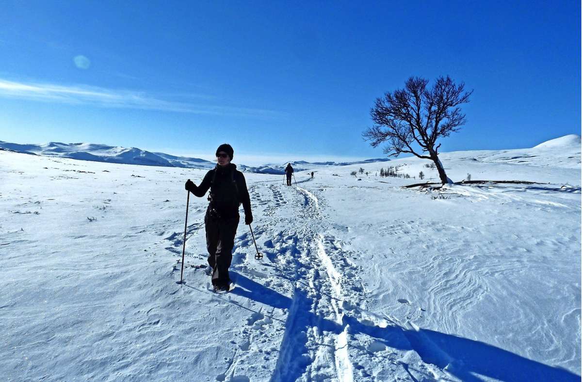 Reisen in Norwegen: In der weißen Wildnis Norwegens