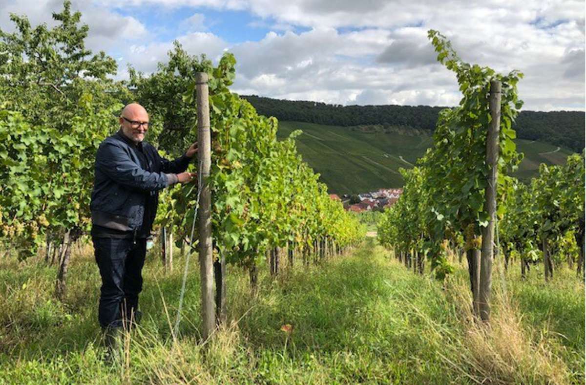 Guter Wein: Ein sehr gelungenes Erstlingswerk aus dem Remstal