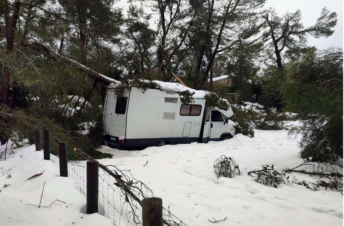 Wintersturm auf Mallorca: Mehr als ein Meter Schnee: Jetzt soll das Militär einschreiten