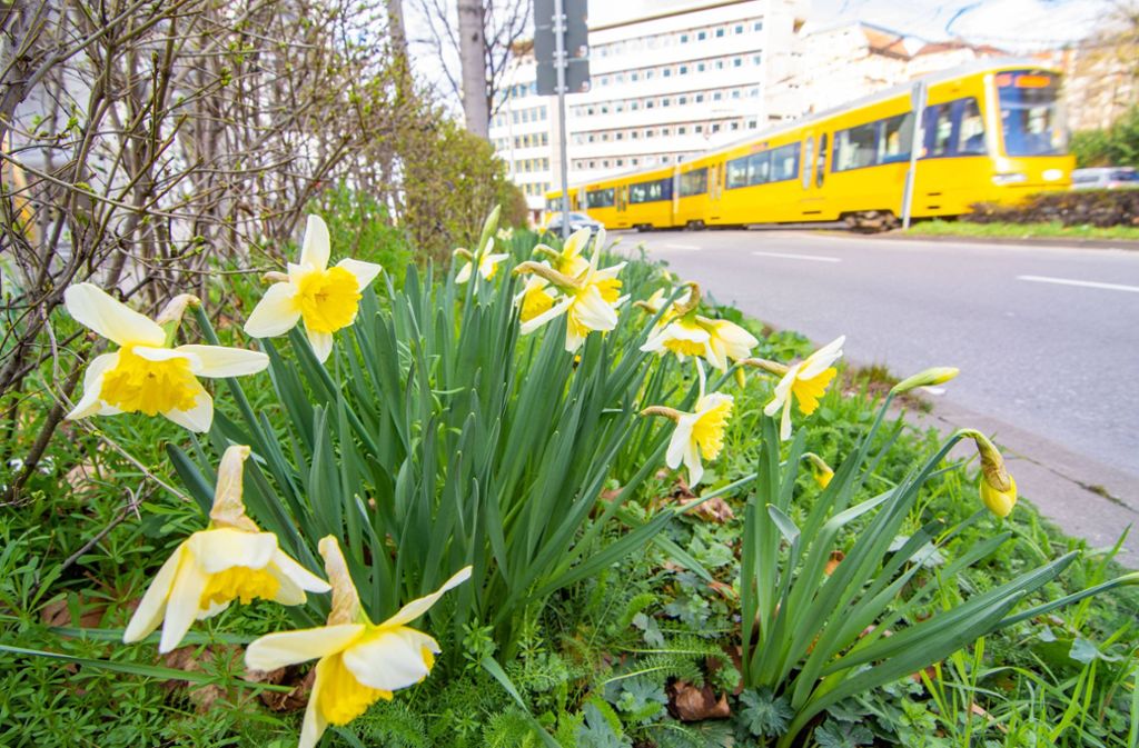 Coronakrise in der Region Stuttgart: Neue Taktung für Stadtbahnen