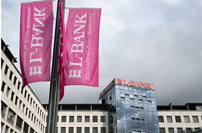 Staatsbank im Zwielicht: Warum die L-Bank  auf teure Fremdhilfe angewiesen ist