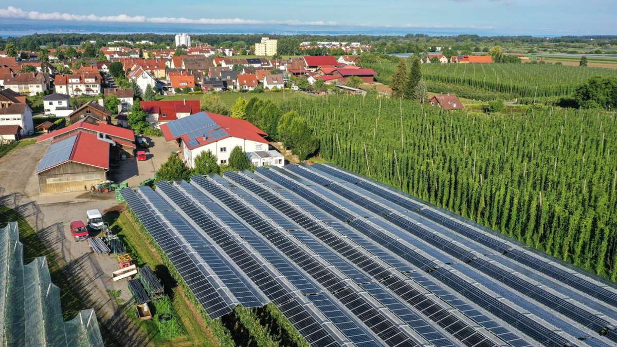 Unten Obst, oben Strom: Land will Agri-Photovoltaik fördern