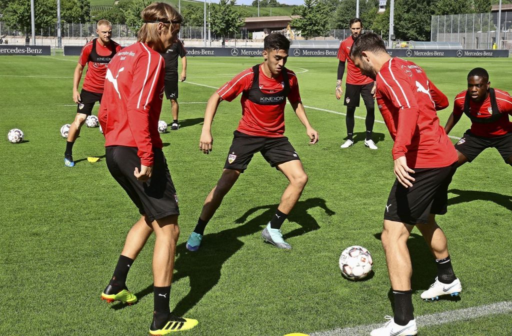 Die vielen jungen Spieler  sollen an der Seite der Routiniers reifen: Die neue VfB-Generation