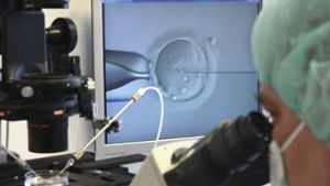 Klonen menschlicher Embryonen - Schutz bröckelt