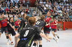 Handball-Verbandsliga: SG nimmt erfolgreich Revanche