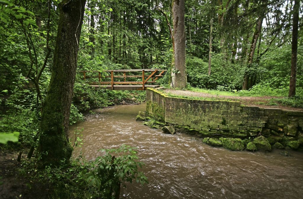 Renaturierung des Fließgewässers verbessert den Hochwasserschutz: Sulzbach wird renaturiert