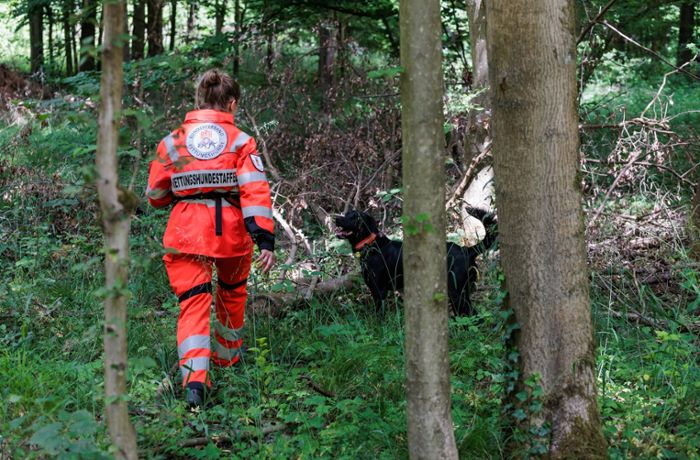 Forchheim im Kreis Emmendingen: Ursache für Schweinepest-Ausbruch weiter offen