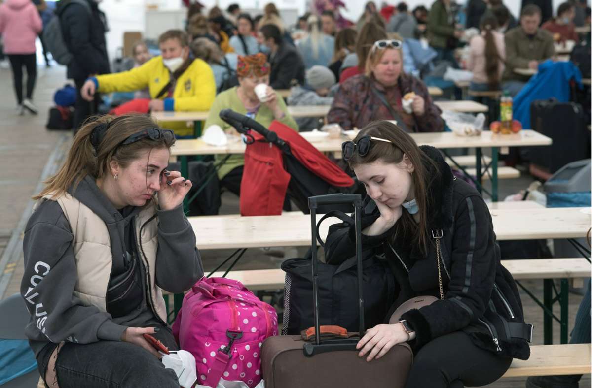 Umfrage zu Flüchtlingen aus Ukraine: 84 Prozent der Geflüchteten  sind Frauen