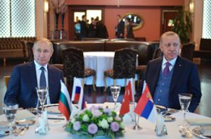 Der russische Präsident Putin (links) und der türkische Präsident Erdogan bei einem Arbeitsessen nach der offiziellen Einweihung der Gaspipeline Turkstream Foto: AP/Alexei Druzhinin