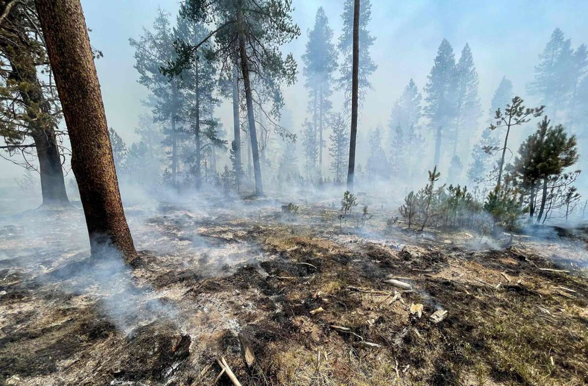 Oregon: Waldbrand breitet sich aus