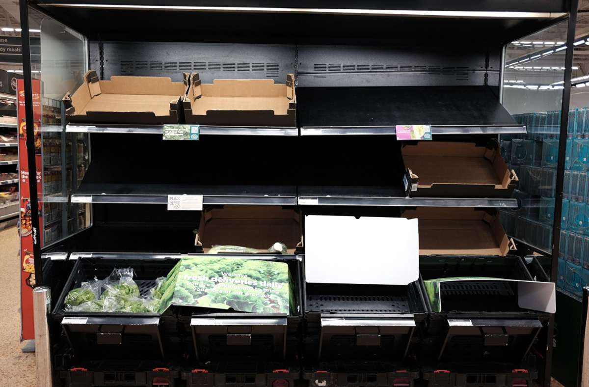Fotos britischer Supermärkte: Leere Gemüseregale auch bei uns? Das sagt der Bauernpräsident