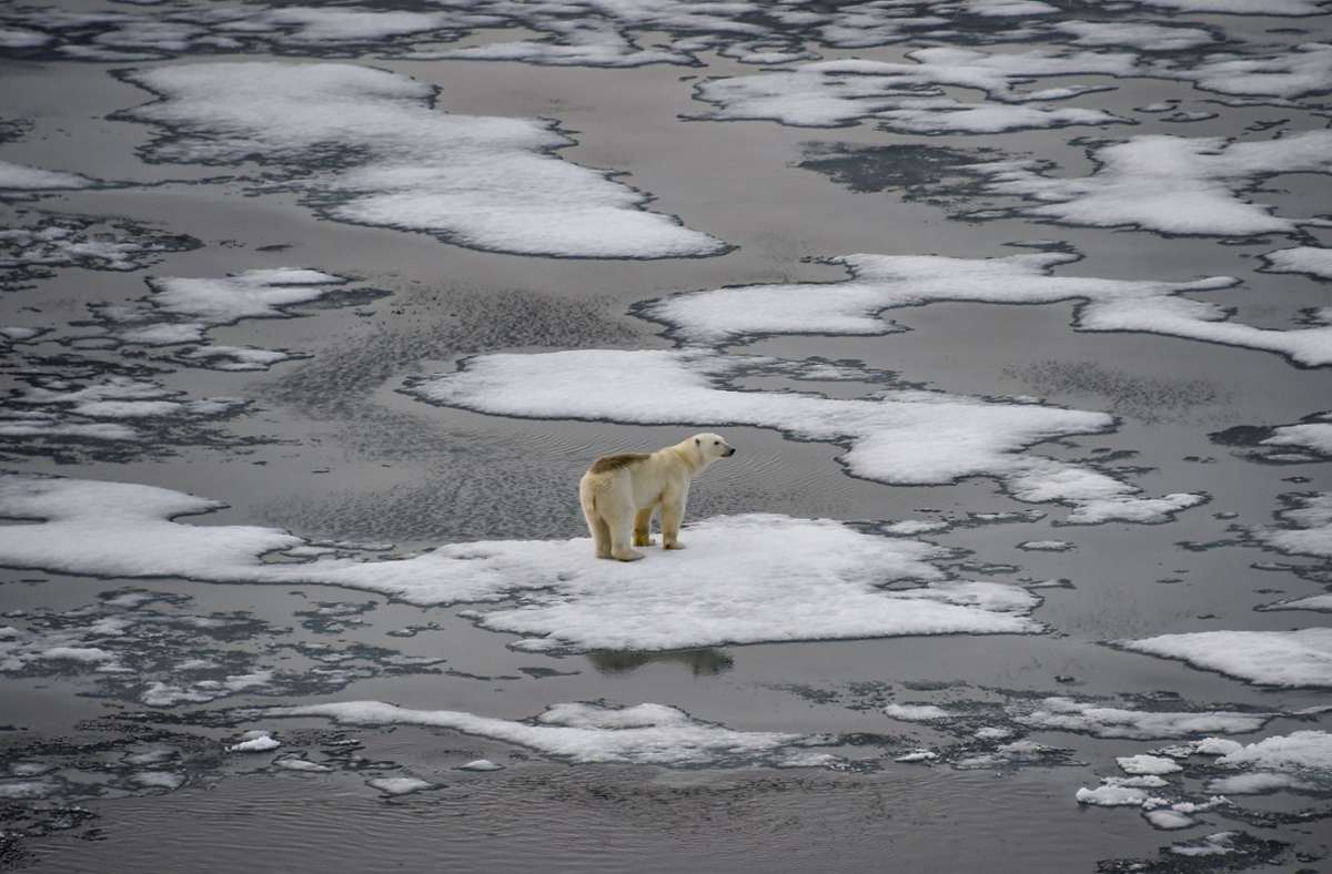 IPCC: Weltklimarat legt am Montag Abschlussbericht  vor