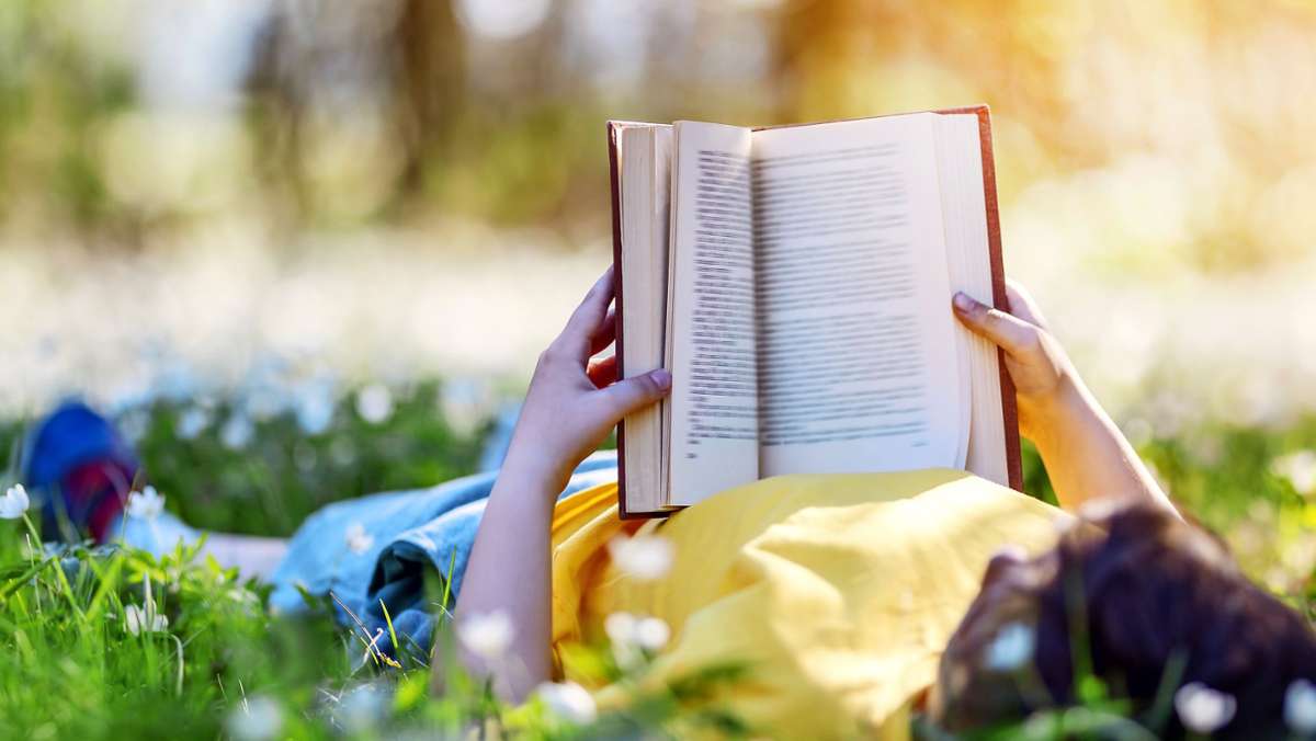 Sommerlesetipps: Diese Bücher müssen mit in den Urlaub