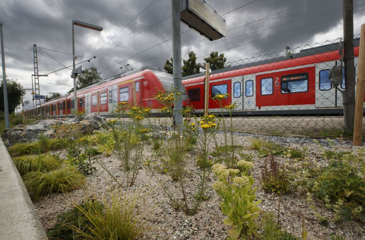 Regionalbahn bei Schorndorf: Zugpersonal bedroht