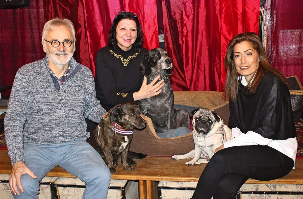 Hundeglück Filderstadt: Dieser Verein hilft Tieren in Istanbul
