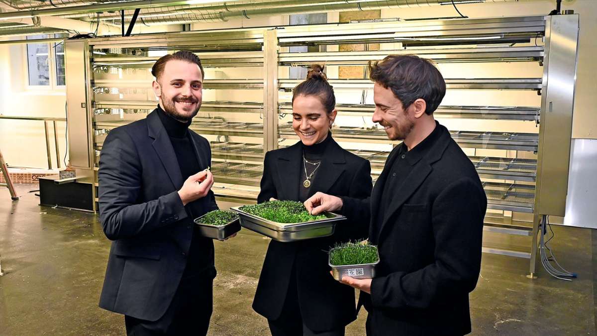 Robin Jörg (links), Madlen Maier und Max Maier schwören auf das Microfood, das bald im Keller von Urbanharbor wachsen wird.
