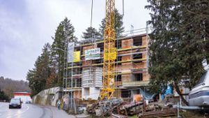 Bauherr klärt bei rätselhafter Baustelle in Aidlingen auf