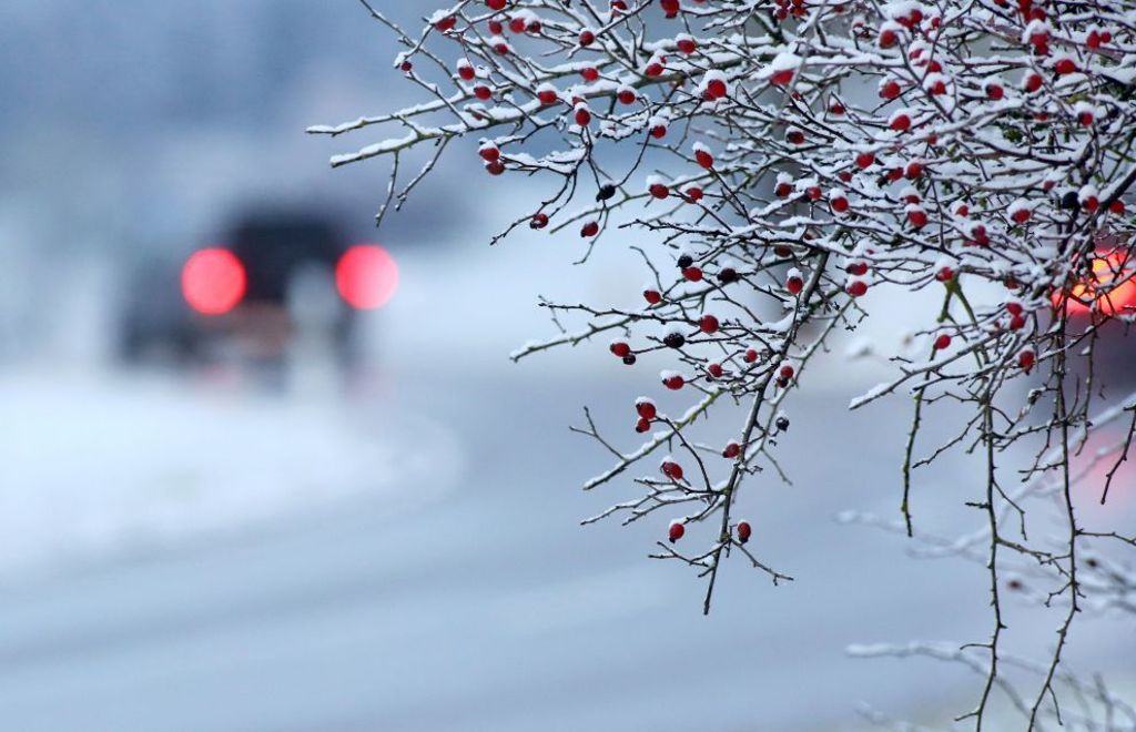 Ab Samstag könnte es Minusgrade geben: Winter feiert Comeback im Südwesten