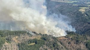 Waldbrand in Tschechien greift auf Sachsen über