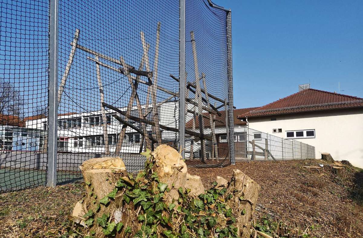 Einige Bäume an der Echterdinger Zeppelinschule wurden gefällt. Foto: Veronika Andreas