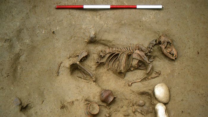 Menschen ließen sich vor 2000 Jahren mit Tieren bestatten