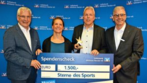 SV Esslingen erhält Stern des Sports in Bronze