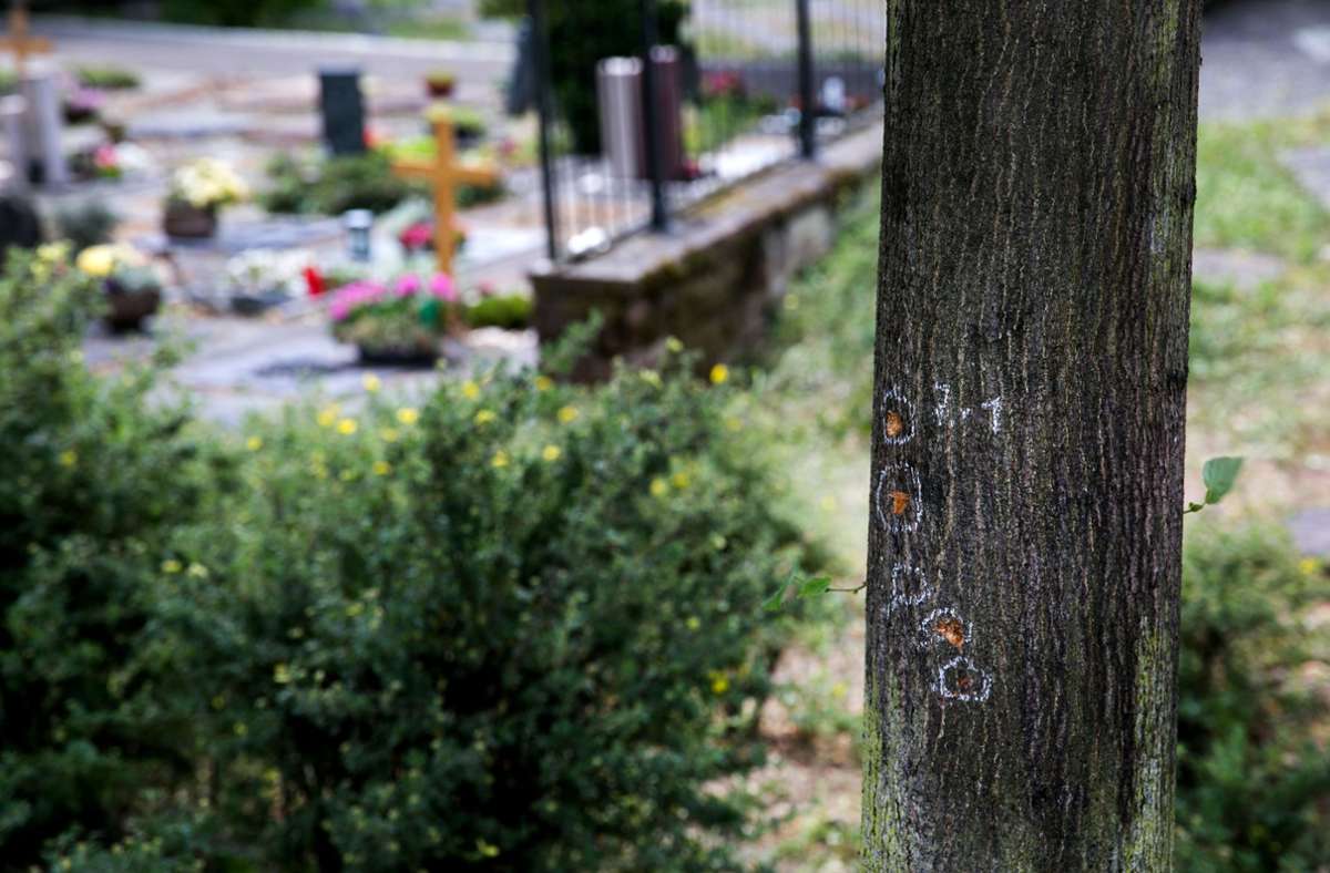 Handgranaten-Anschlag auf Friedhof in Altbach: Weitere Festnahme nach lebensgefährlicher Attacke