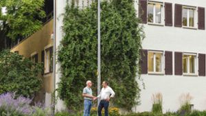 Fassade begrünen ohne Risiko – Experten geben Tipps