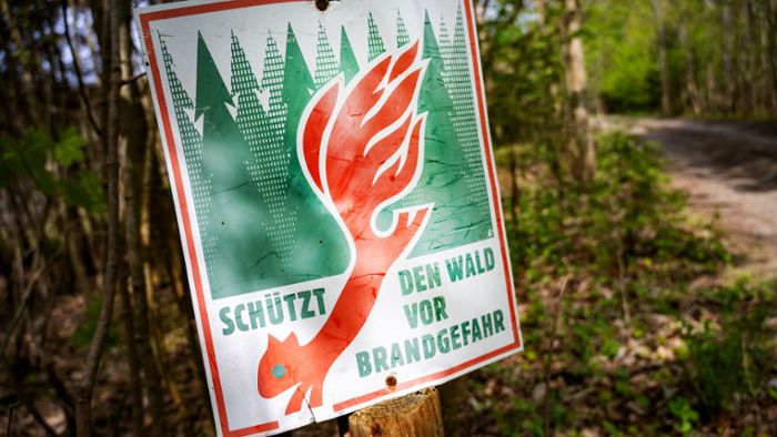 Wegen Brandgefahr: Generelles Rauchverbot im Wald
