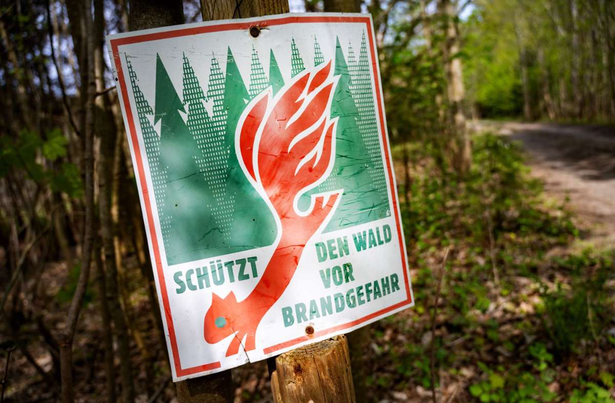 Wald im Kreis Esslingen: Wegen Brandgefahr: Generelles Rauchverbot im Wald