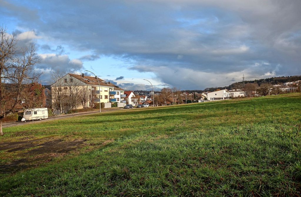 Gemeinderat bringt Bebauungsplan „Erwiese III“ auf den Weg – Knappe Mehrheit: Deizisau will auf der grünen Wiese bauen
