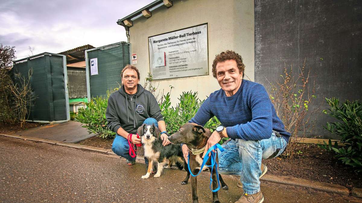 Tierheim Esslingen: Einst retteten die Tierschützer über 100 Tiere aus einer Messiewohnung