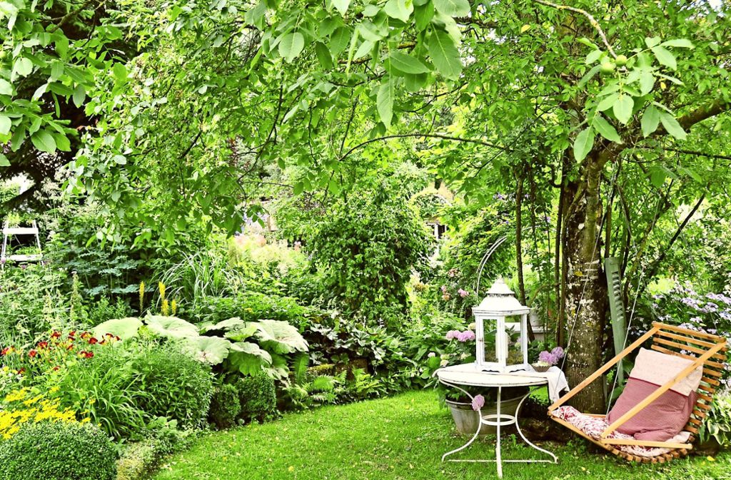 Ein Garten für jede Jahreszeit: Romantischer Staudengarten