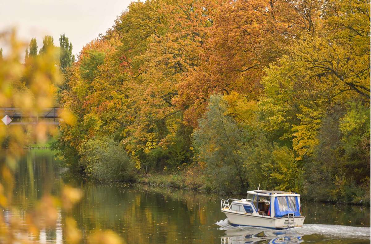 Stuttgart und Region: Das sind die schönsten Herbstbilder unserer Leser