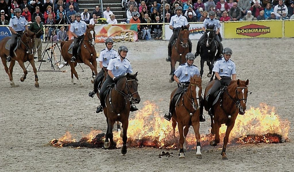 OSTFILDERN:  Täglich trainieren die Polizisten der Reiterstaffel mit ihren Pferden - Ulrike Klein und Quemeran sind seit acht Jahren ein Team: Gemeinsam durchs Feuer gehen