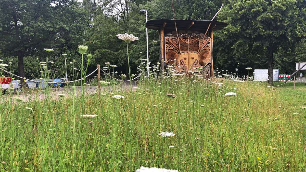 Goldene Wildbiene für Althütte: Ausgezeichnet: Riesenhotel für kleine Wildbienen