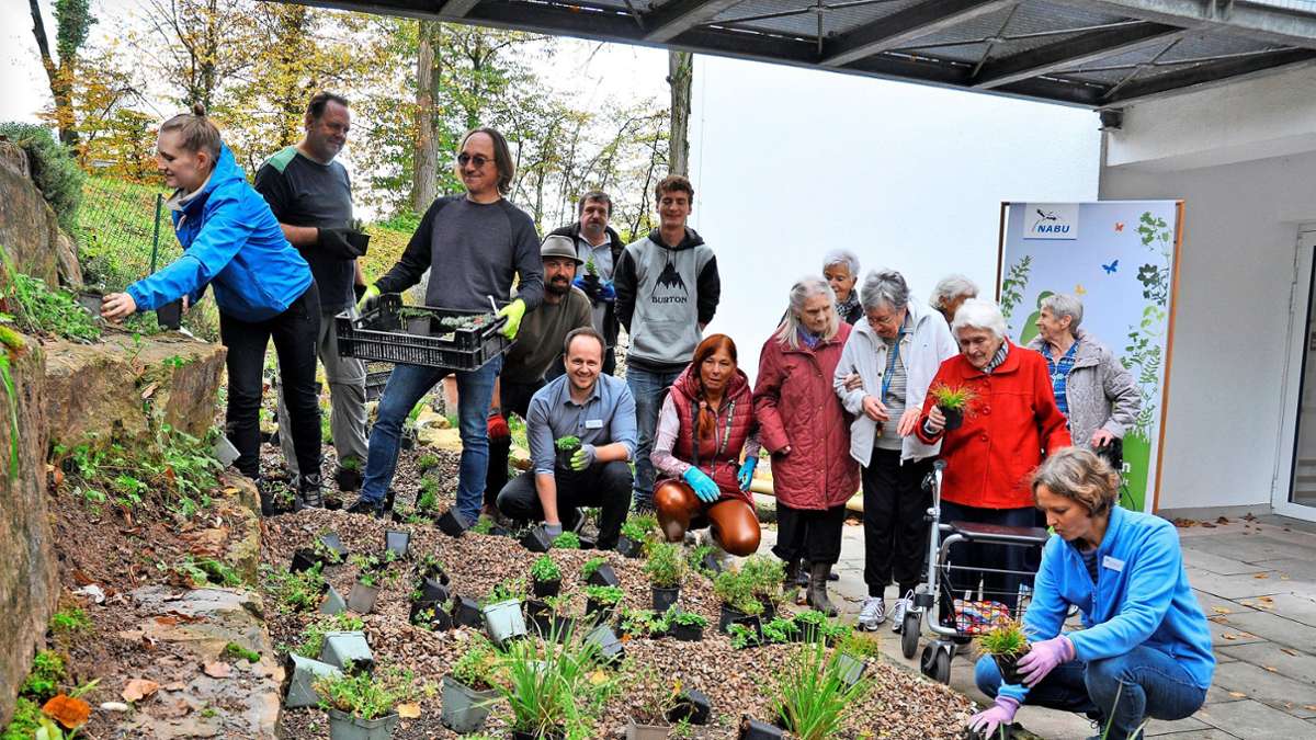 Gärtnern in Plochingen: Es blüht bis in den Herbst hinein