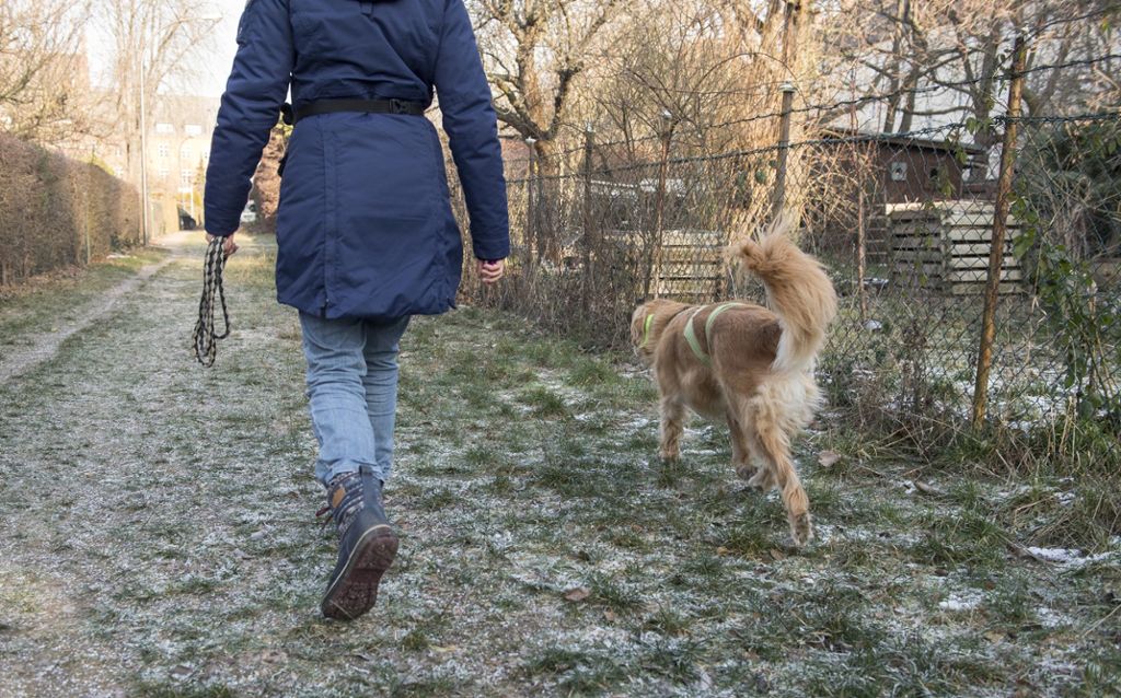 Diskussion um Frage nach Zwang oder Freiwilligkeit: Verpflichtender Hundeführerschein umstritten