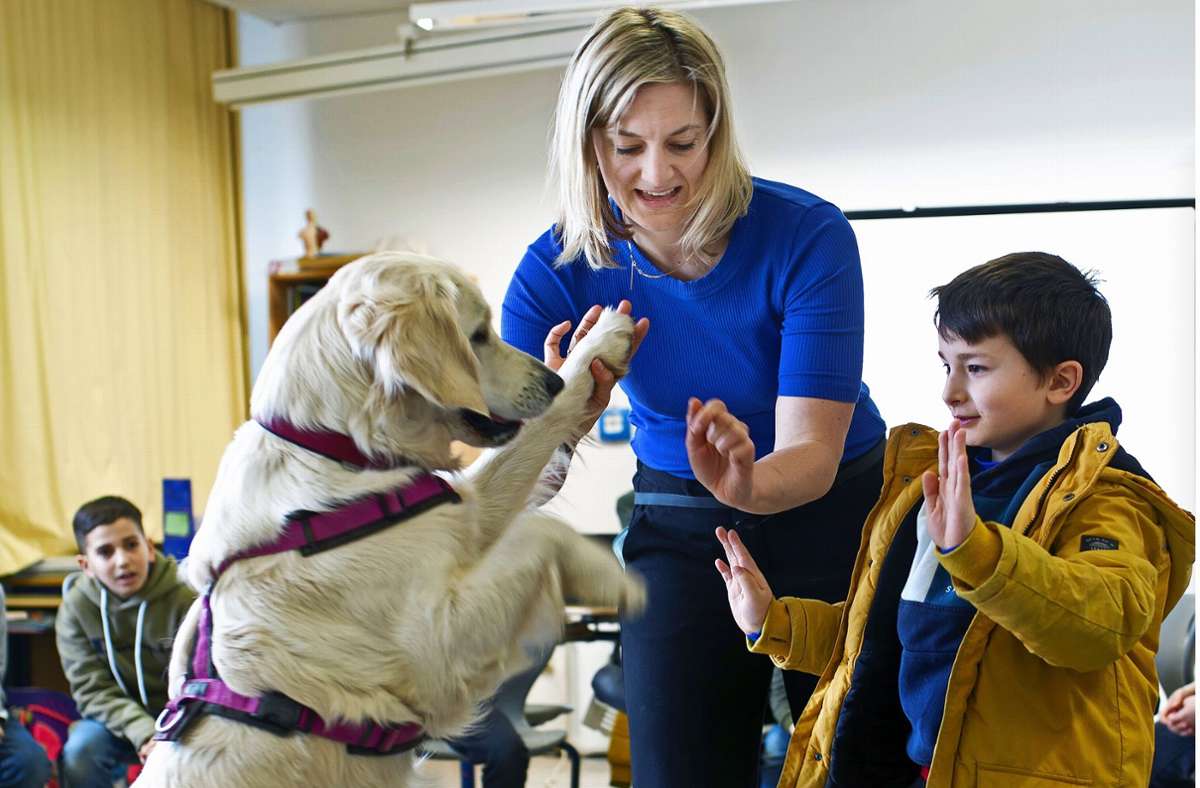 Schulhund in Ostfildern: Was Schüler von einem Hund lernen können