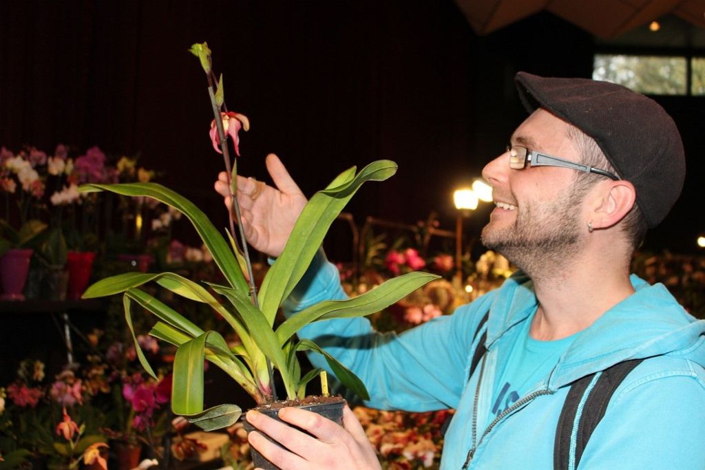 KREIS ESSLINGEN: Eine neu gezüchtete Pflanze wird bei den Berkheimer Orchideentagen auf den Namen Richard Kramartschik getauft: Die Königin der Blumen bekommt Nachwuchs