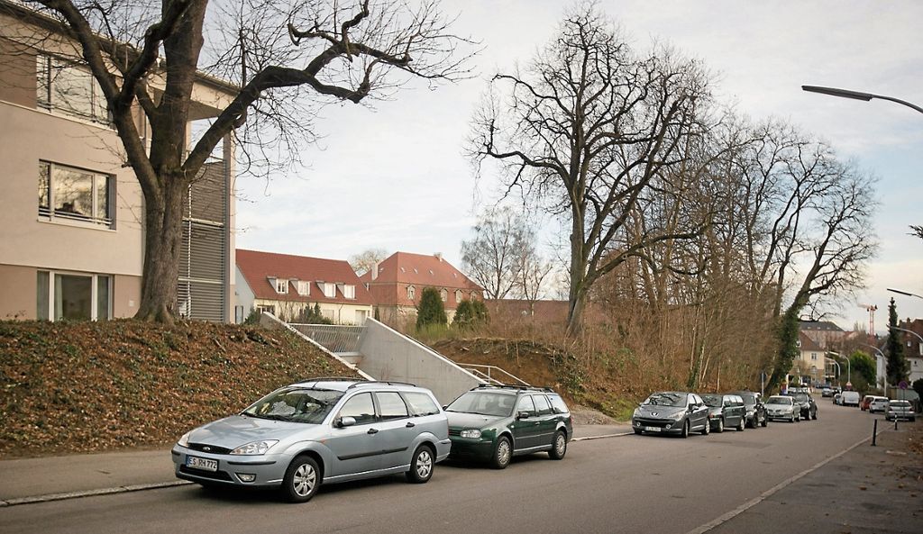 ESSLINGEN: Stadträte stimmen dem Entwurfsplan für den Neubau von mehreren Gebäuden in der Seracher Straße zu: Wohnungen statt Bäume