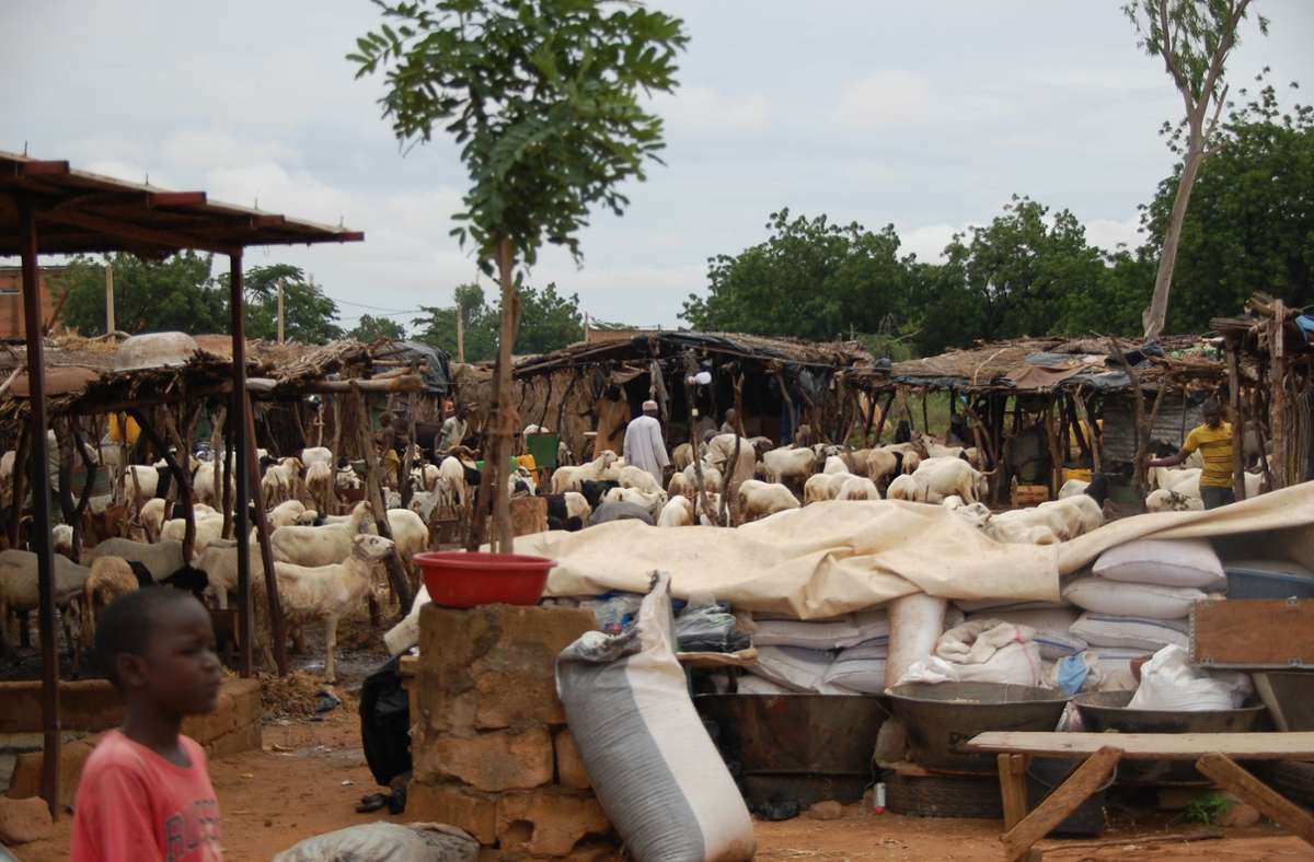 In die Hauptstadt Niamey kommen täglich hunderte   Menschen, um sich irgendwie als Tagelöhner zu verdingen.