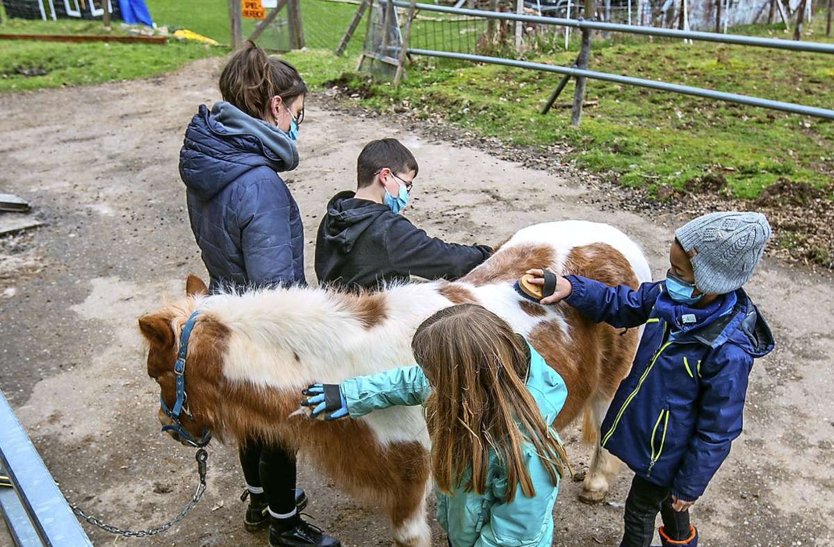 Aktiv- und Abenteuerspielplatz auf dem Zollberg: Wie die Jugendfarm Esslingen den Lockdown nutzt