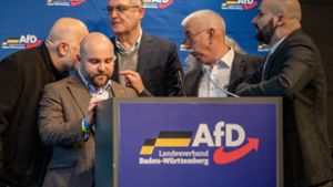 Politik: Rabatz in Rottweil - Südwest-AfD bekämpft sich selbst